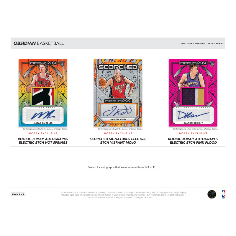 2024-25 Panini Obsidian Basketball Hobby 12 Box Case