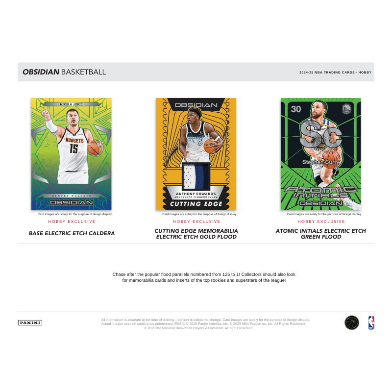 2024-25 Panini Obsidian Basketball Hobby 12 Box Case