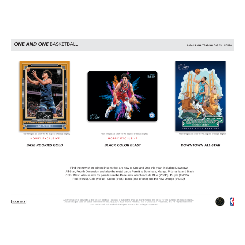 2024-25 Panini One & One Basketball Hobby 10 Box Case